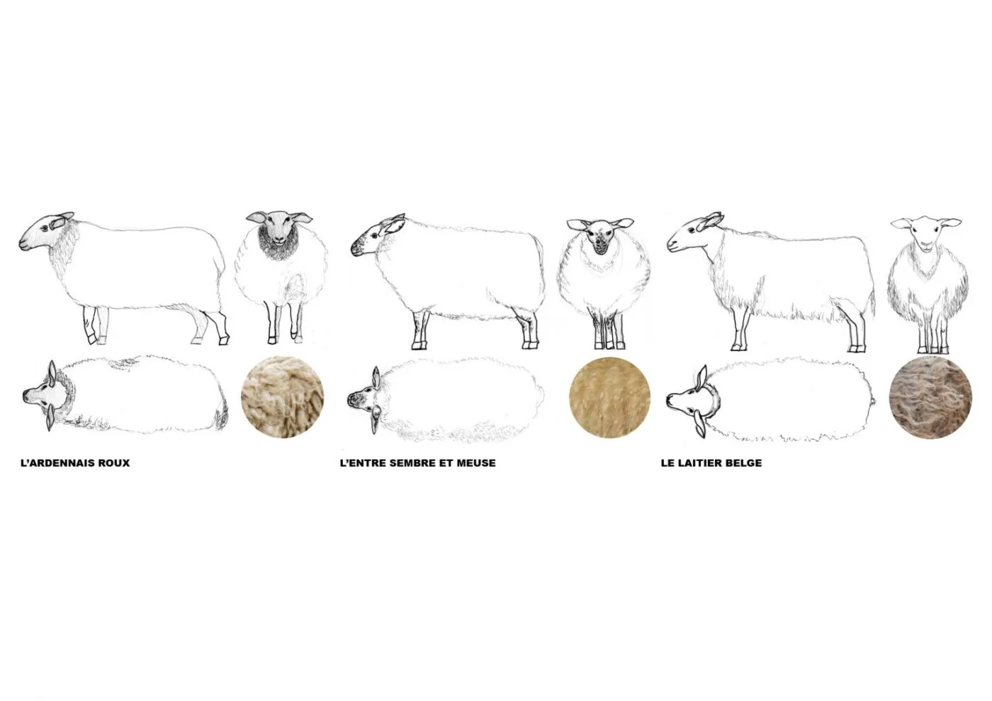 L'enceinte des landes